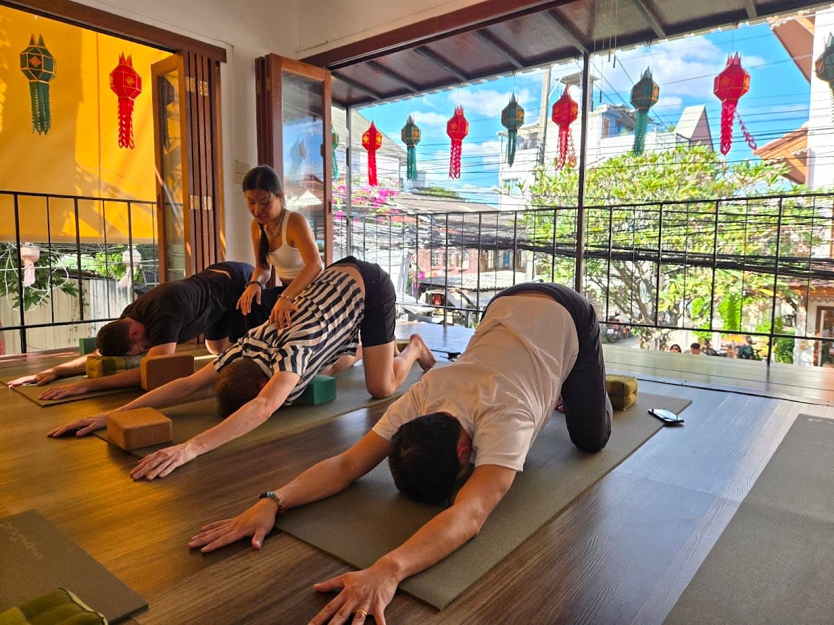 Yoga Pretzel Chiang Mai