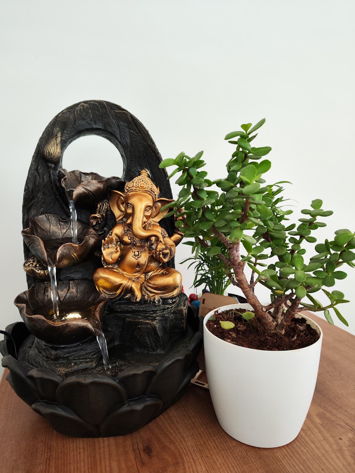 Abhyasa Adi yoga shala logo