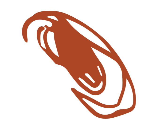 200 Hour Teacher Training - Sacred Seeds Yoga School Tasmania 1