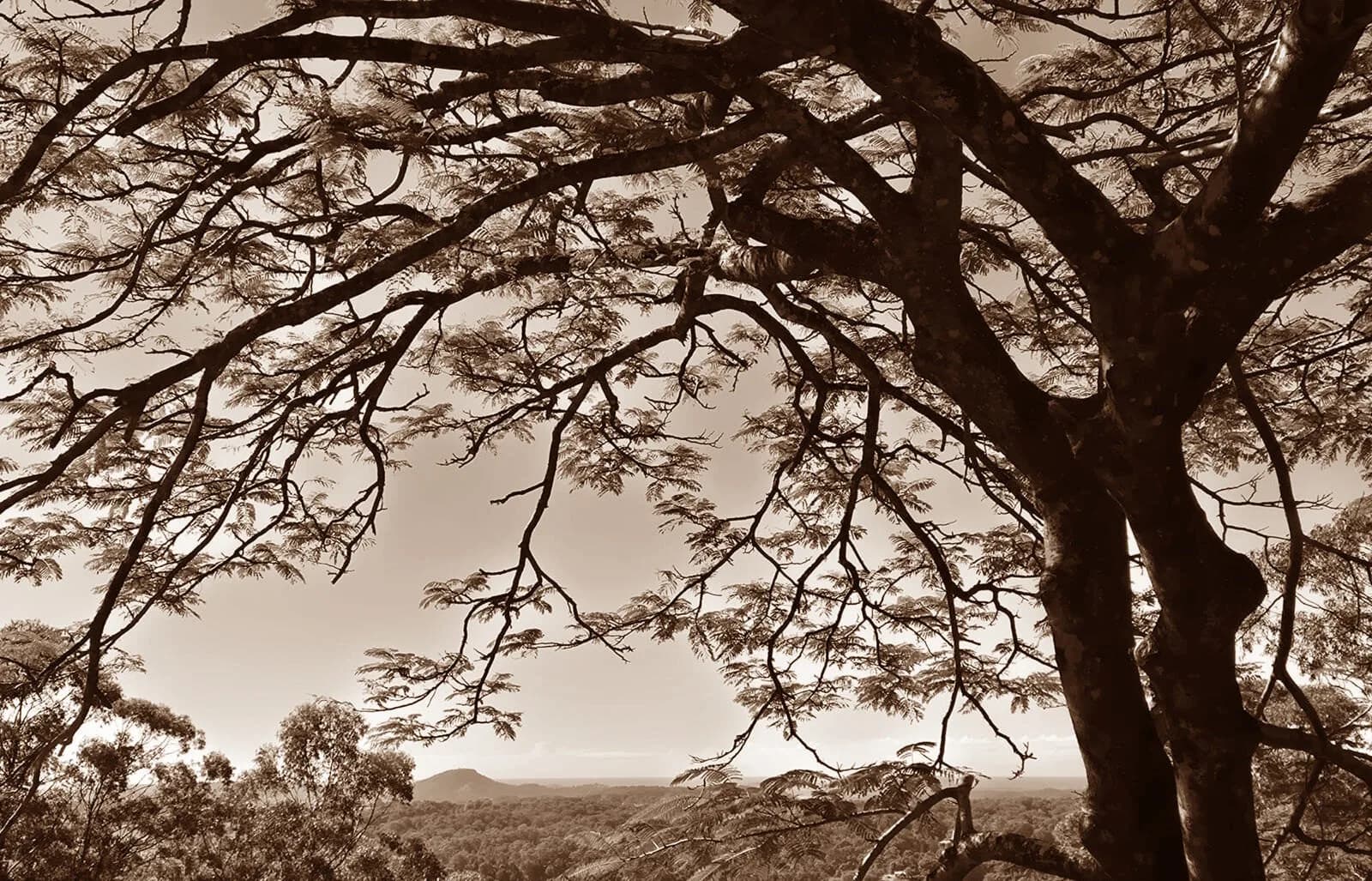 Systemic & Family Constellations Workshop 1