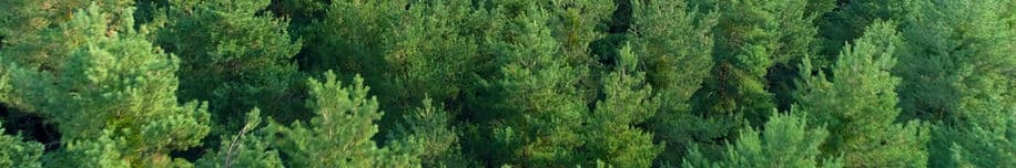 Vital Body Wellness Centre logo