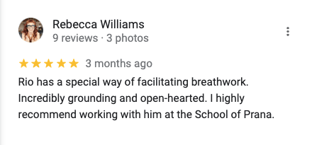 School of Prana logo