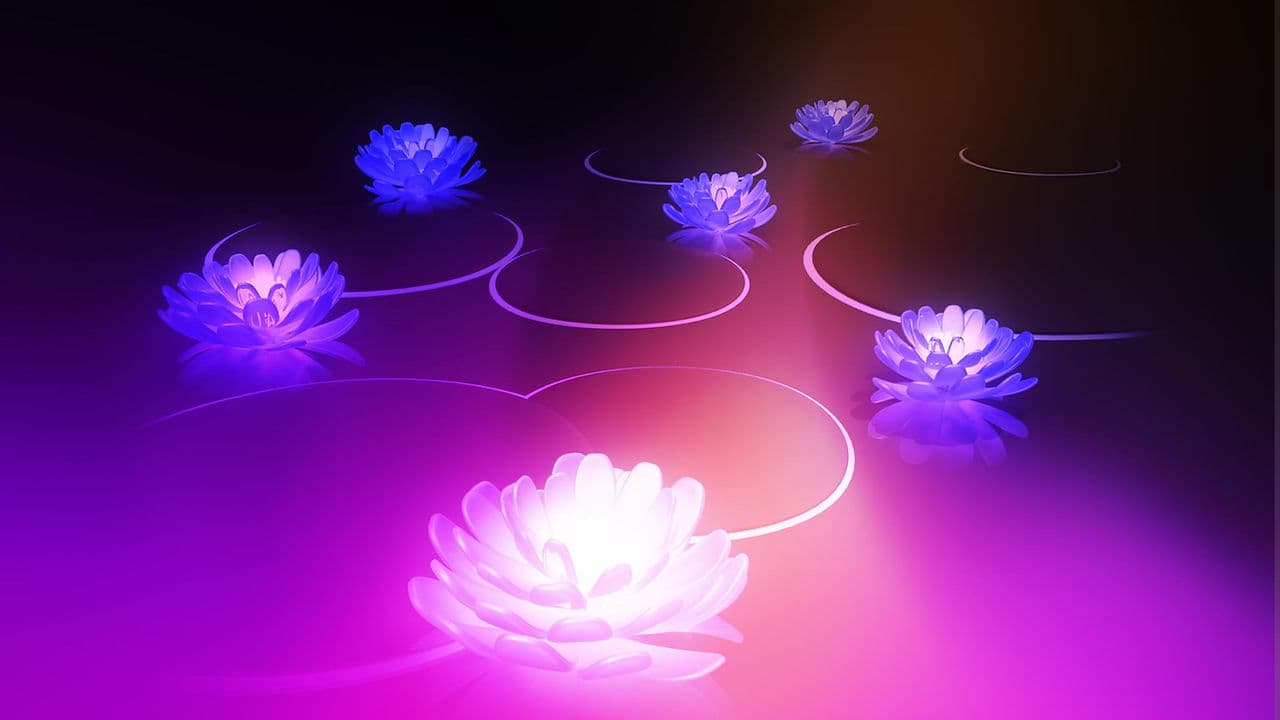 Vishwa Healing Journeys - Medical Tourism South India & Bali 1