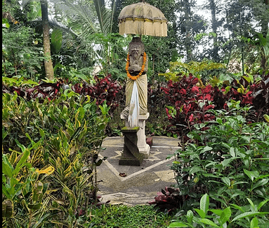 Herbal & Body Care 1