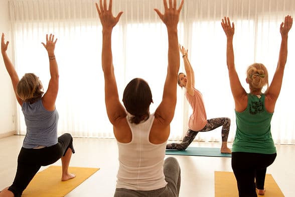 Dru Yoga - Presential Class 1