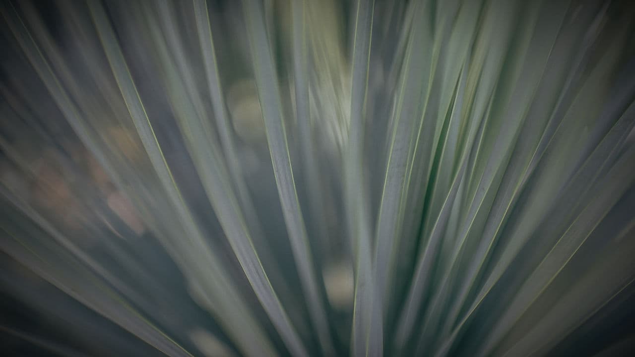 Vocal Transformation Retreat 1