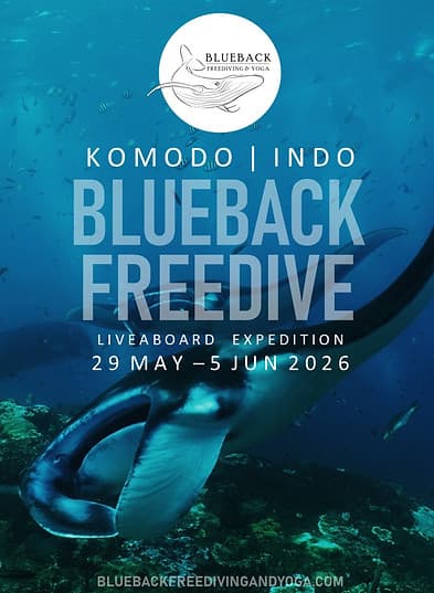 Blueback Komodo Liveaboard Expedition 1