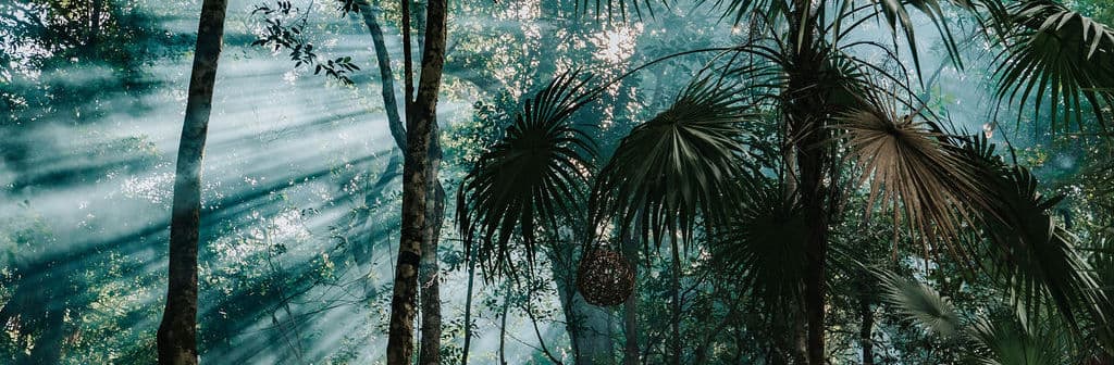 Retiros Espirituales y Corporativos en Lunita Jungle Retreat 1