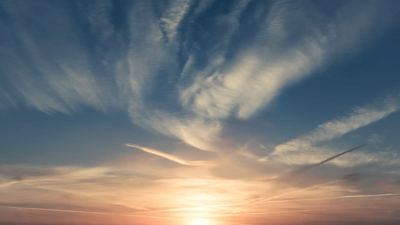 60-Minute Trial Session 1