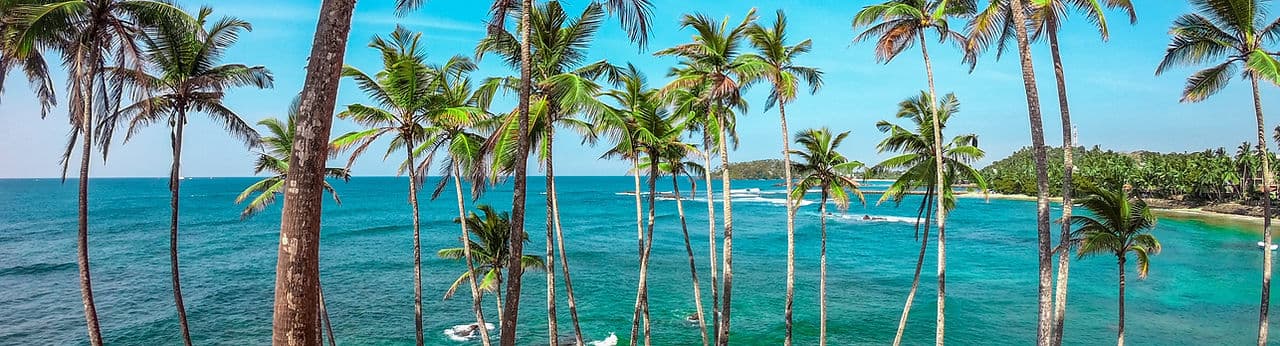 Spirit of Sri Lanka 1