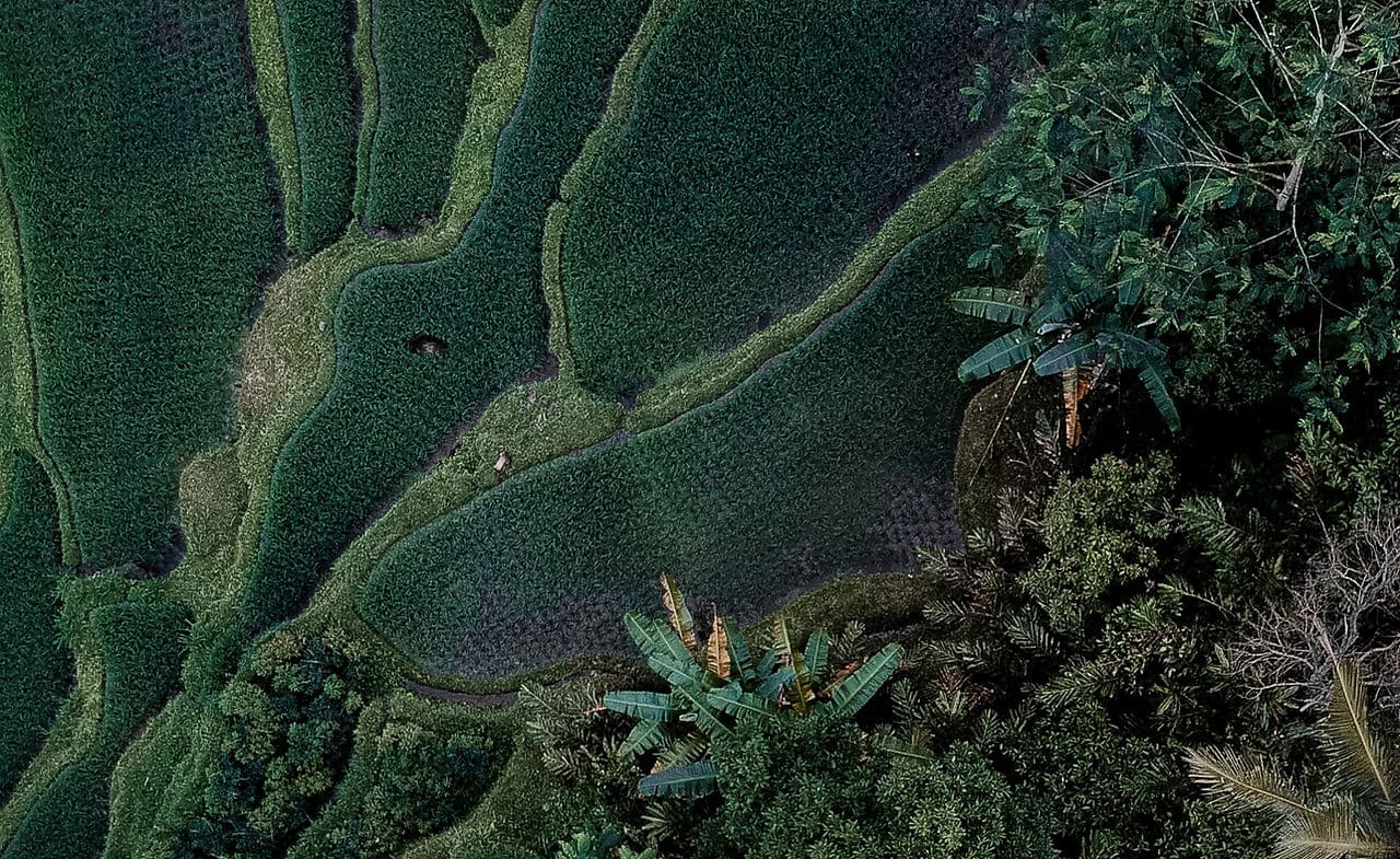 Tailored Addiction Treatment Rehab Retreats 1