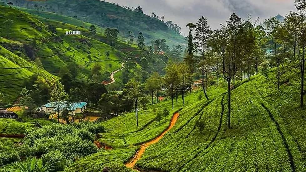 Spirit of Sri Lanka 1