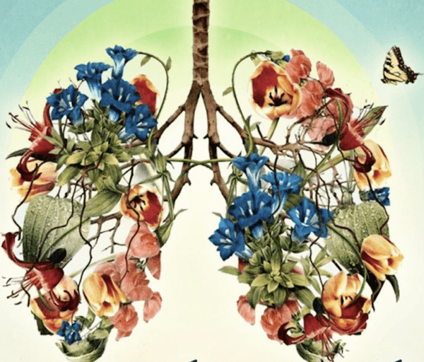 Liberated Breath — A 4-Week 1-on-1 Breathwork Coaching Program 1