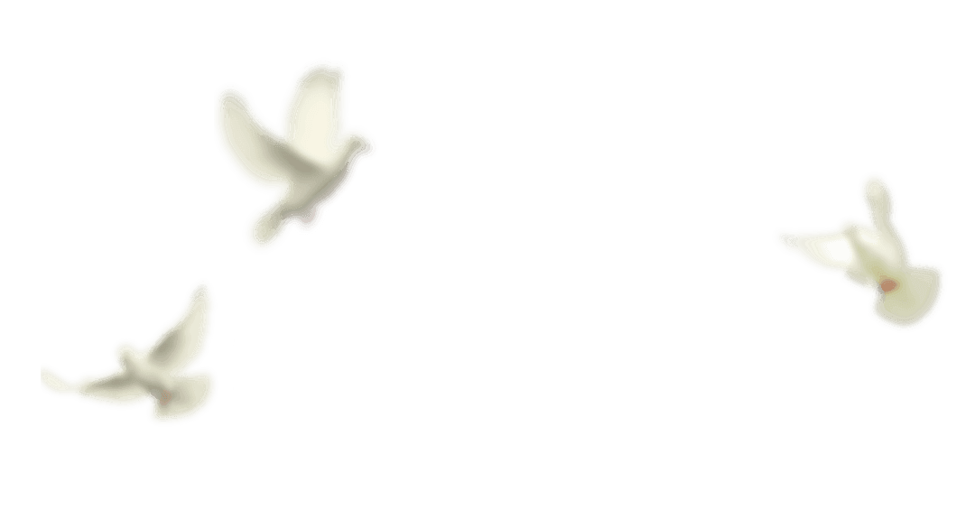 7-Day Silent Meditation Retreat 1